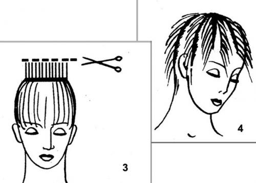 Урок деления волос по радиусам - стрижки с короткой макушкой. 02