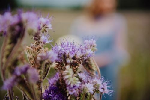 Делюсь с вами летними наработками. 01