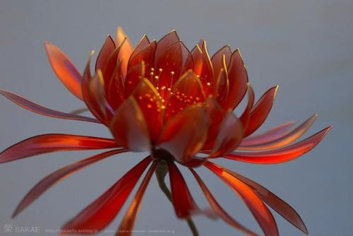 Канзаши - секретное оружие гейш. 05