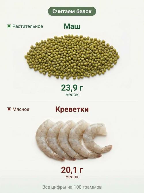 Часто говорят, что белок содержится , внимание, только в курице и яйцах. 02