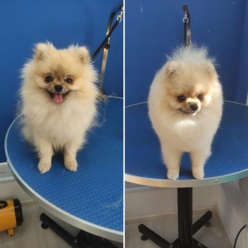 Марафет для маффина. 03