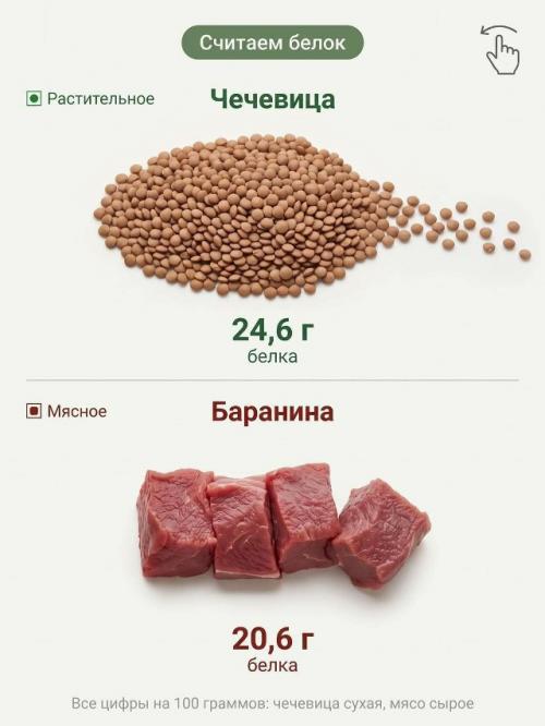 Часто говорят, что белок содержится , внимание, только в курице и яйцах. 01