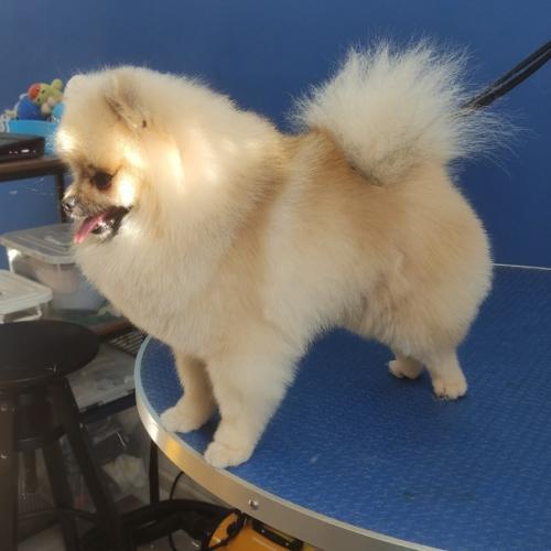 Марафет для маффина. 02