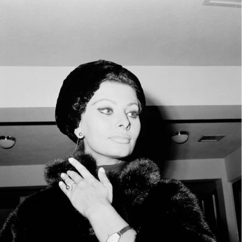 Недавно одной из самых красивых женщин в истории кинематографа исполнилось 85 лет. 06 Недавно одной из самых красивых женщин в истории кинематографа исполнилось 85 лет. 06