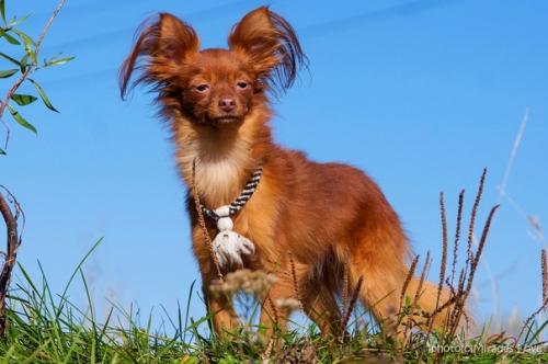 Ииии.  Немного из рубрики вредных советов! 02