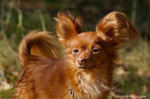 Ииии.  Немного из рубрики вредных советов! 01