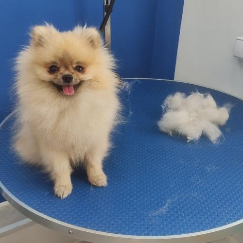 Марафет для маффина. 01