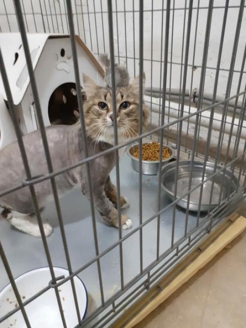 Печальки пост. Вот просто поплакаться. 01 Печальки пост. Вот просто поплакаться. 01