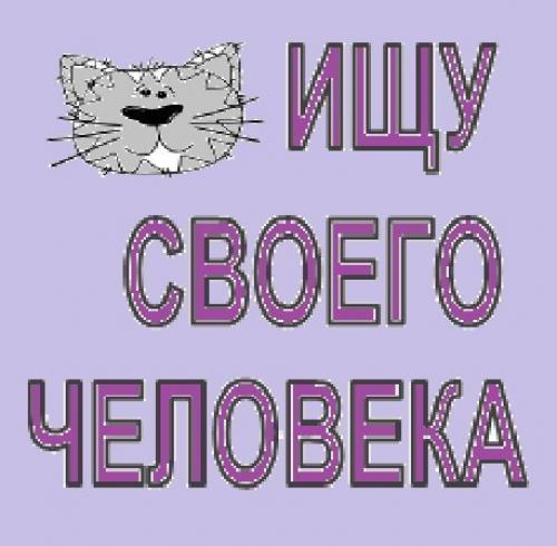 Котики в самые любящие руки! 04 Котики в самые любящие руки! 04