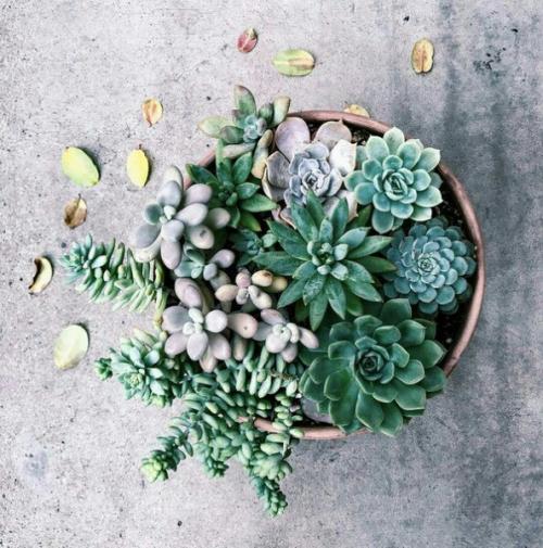 Healthandbeauty?  Здоровьеикрасота?  Breathethehappiness. 03 Healthandbeauty?  Здоровьеикрасота?  Breathethehappiness. 03