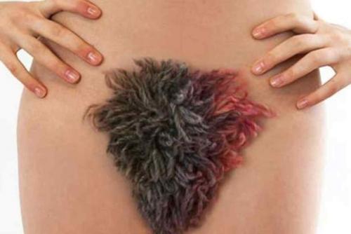 Интимная красота. Прически делают не только на голове, но и в интимной зоне. 02 Интимная красота. Прически делают не только на голове, но и в интимной зоне. 02