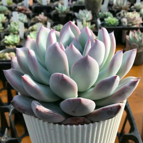 Healthandbeauty?  Здоровьеикрасота?  Breathethehappiness. 01 Healthandbeauty?  Здоровьеикрасота?  Breathethehappiness. 01