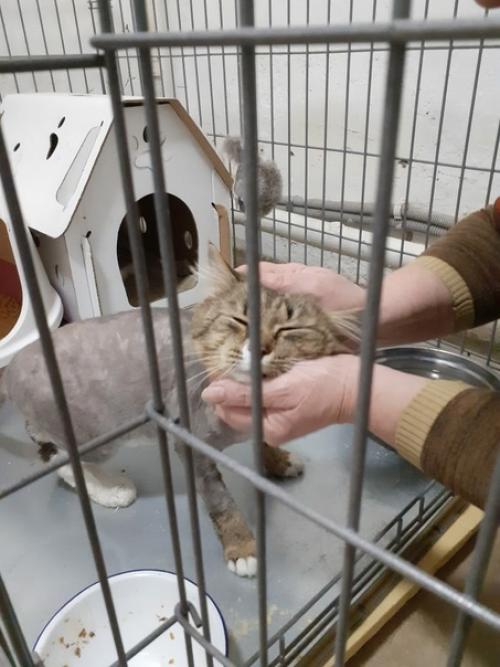 Печальки пост. Вот просто поплакаться. 02 Печальки пост. Вот просто поплакаться. 02