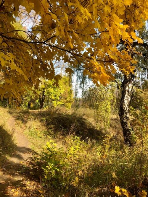 Осень пришла.  За окошком пустырь. 01