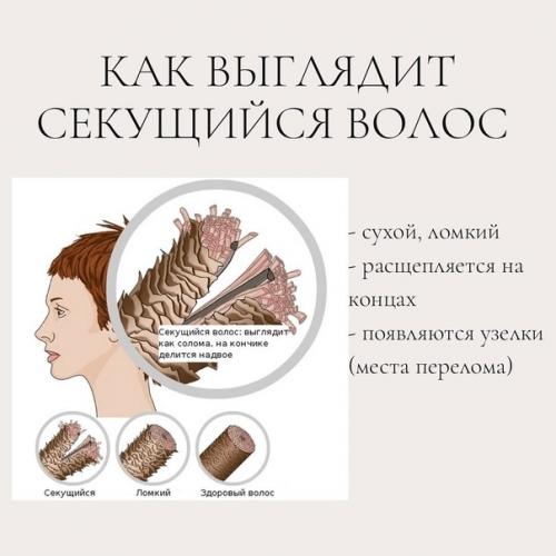 Средства для секущихся концов! 01