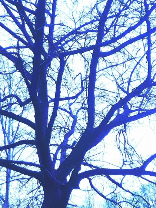 Путешествие войны.  Я мертва. 02