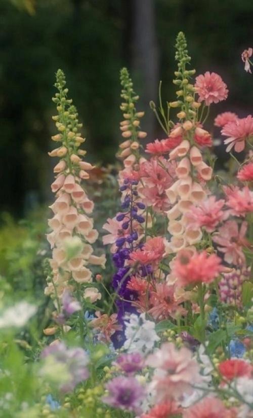 nwb_Fanfiction nwb_Seokjin nwb_kim. 01