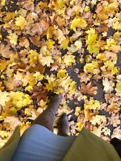 Осень пришла.  За окошком пустырь. 02