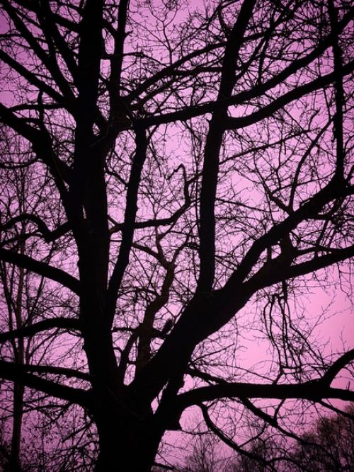 Путешествие войны.  Я мертва. 01