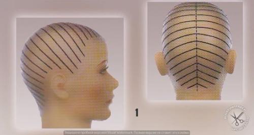 Каре на УДЛИНЕНИЕ. Эта стрижка любима многими, и причины такой симпатии просты. 01 Каре на УДЛИНЕНИЕ. Эта стрижка любима многими, и причины такой симпатии просты. 01