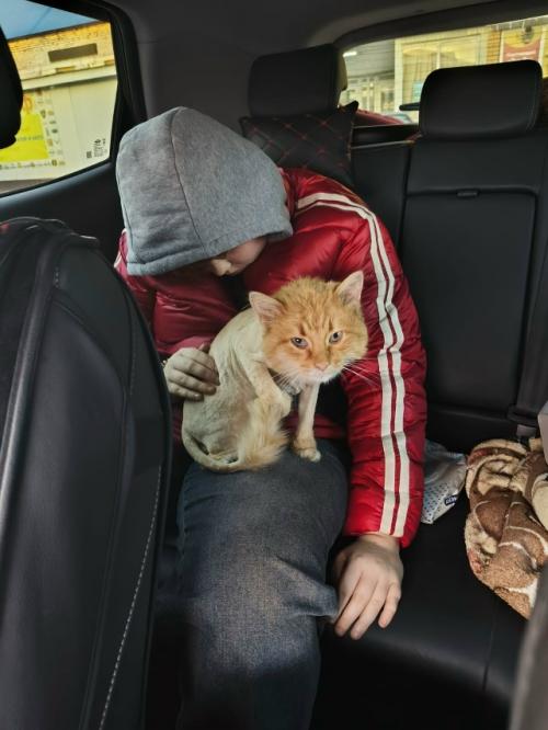 Еще одна счастливая история! 03