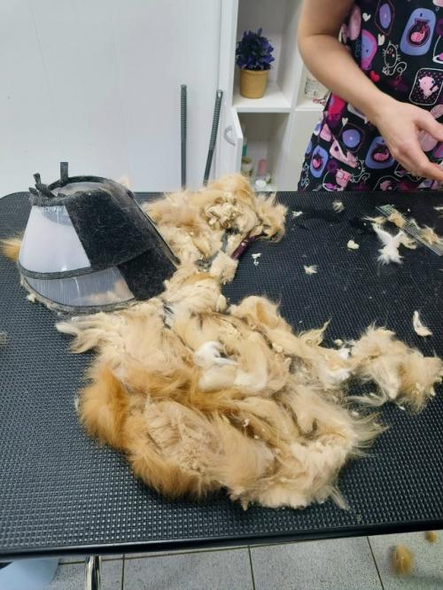 Еще одна счастливая история! 02