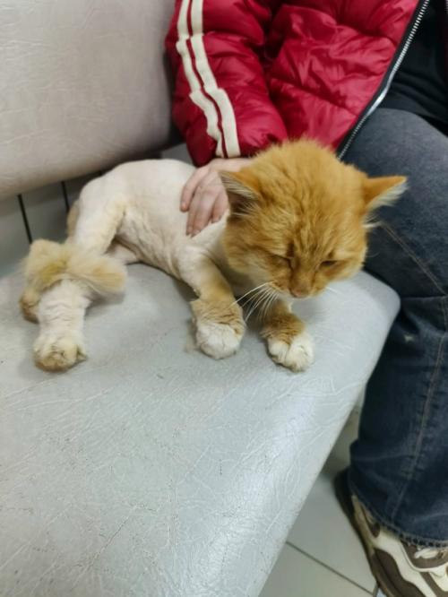 Еще одна счастливая история! 01