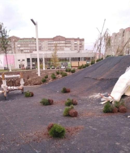 Юные неандертальцы & череповецкие Благоустроители. 02