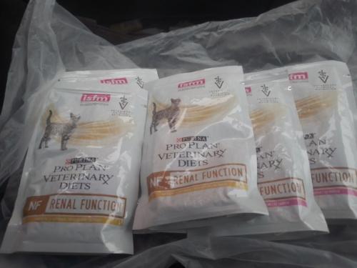 Белый с модной стрижкой. 01