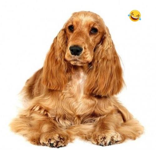 Полное собрание материалов: Женские Прически 2000-х Годов для вас и ваших друзей! 01