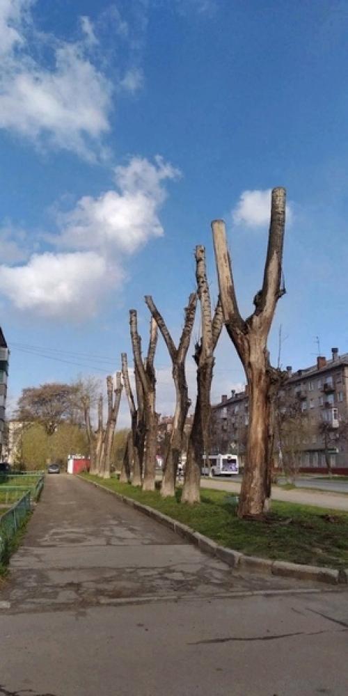 Юные неандертальцы & череповецкие Благоустроители. 05