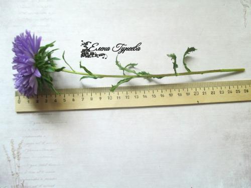 Сегодня мой новый разборцветовотеленыгуреевой посвящен такому казалось бы простому цветку как астра. 02 Сегодня мой новый разборцветовотеленыгуреевой посвящен такому казалось бы простому цветку как астра. 02