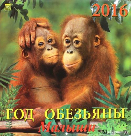 Интересно. 2016 год обезьяны: приметы и советы как отметить. 02 Интересно. 2016 год обезьяны: приметы и советы как отметить. 02
