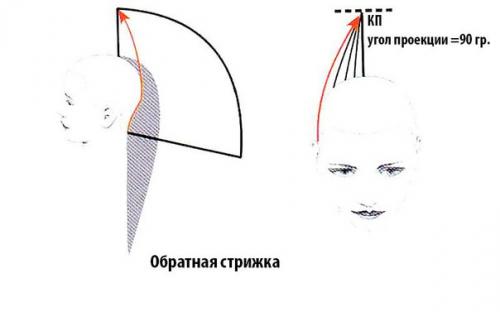 Прогрессивная форма стрижки. 02 Прогрессивная форма стрижки. 02