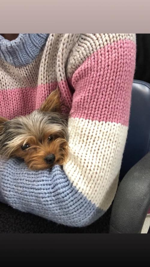 Обновления Instastories лили за 19 декабря: 01