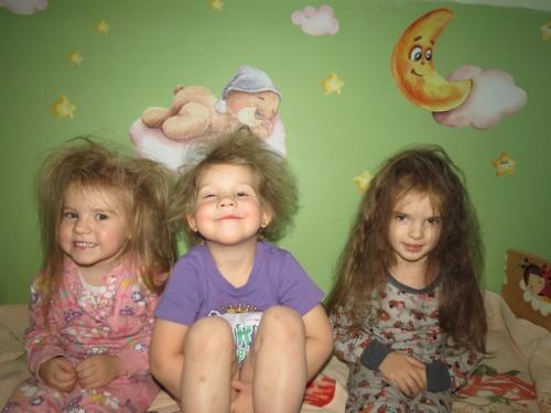 16 декабря - день лохматых! 01 16 декабря - день лохматых! 01