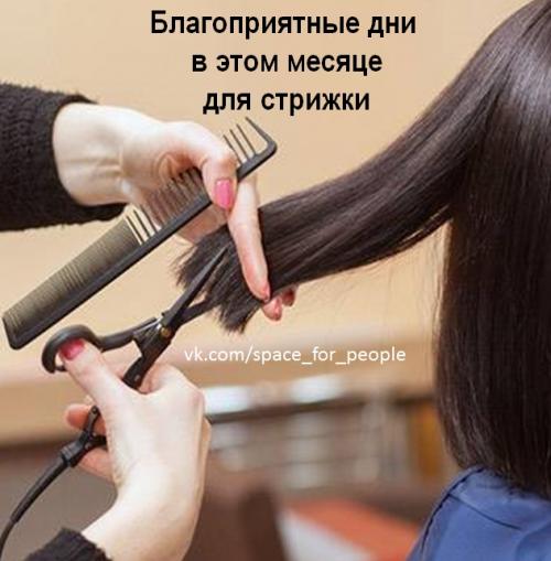 Благоприятные дни для стрижки - декабрь 2025.
