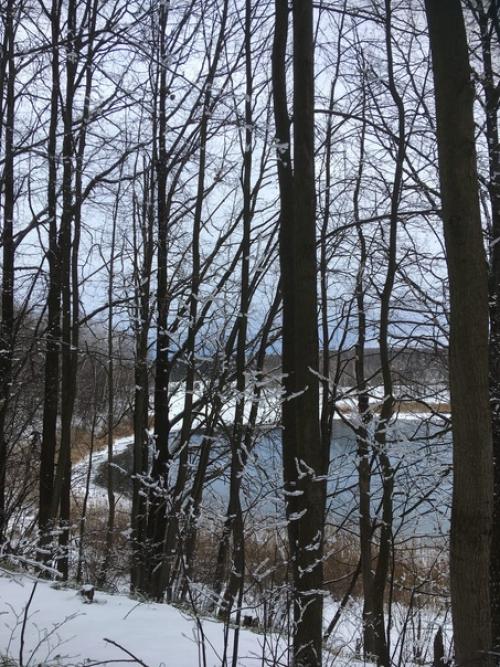 Бритая голова мои самоощущения. 03 Бритая голова мои самоощущения. 03