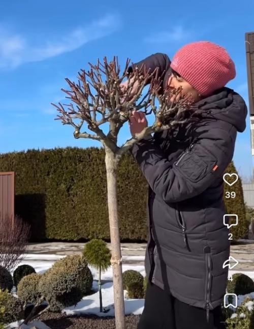 Видео нашла на просторах запрещенной социальной сети и хочу донести до вас одну мысль - не бойтесь стричь! 01