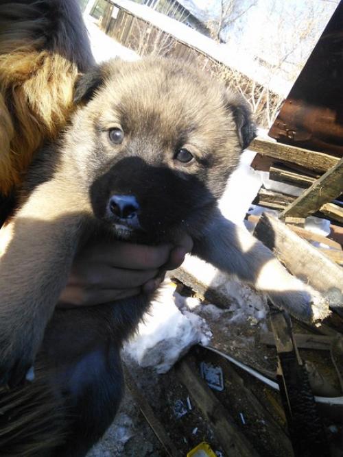 Лучший друг для добрых рук! 02 Лучший друг для добрых рук! 02