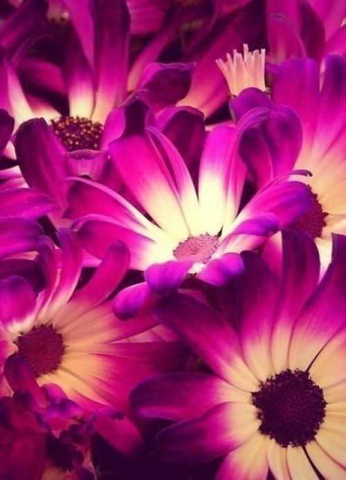 Как принять себя такой, какая есть. 02