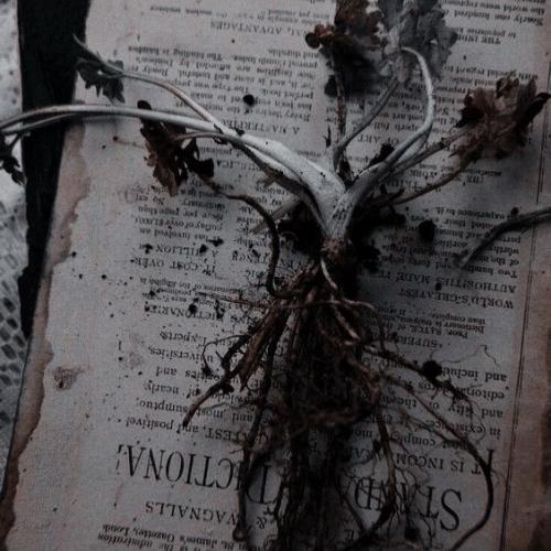 Другие служанки думают, я ничего такого не делаю. 07 Другие служанки думают, я ничего такого не делаю. 07