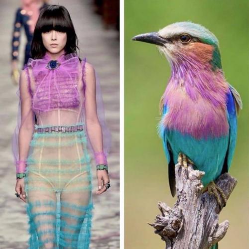 Откуда дизайнеры свое вдохновение черпают. 02