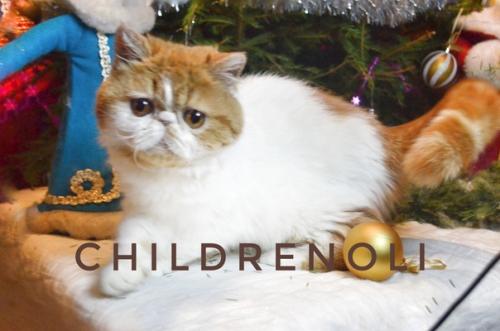 Оказывается 20 февраля -. 01