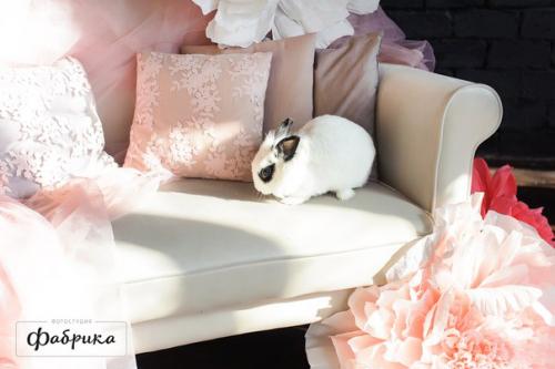 К весне готовы! 02