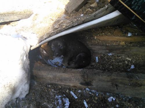 Лучший друг для добрых рук! 03 Лучший друг для добрых рук! 03