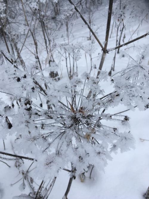 Бритая голова мои самоощущения. 02 Бритая голова мои самоощущения. 02