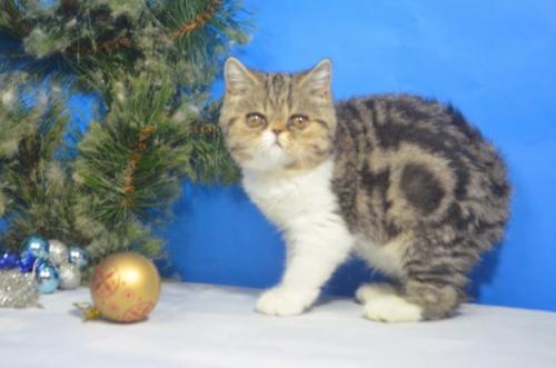 Оказывается 20 февраля -. 03