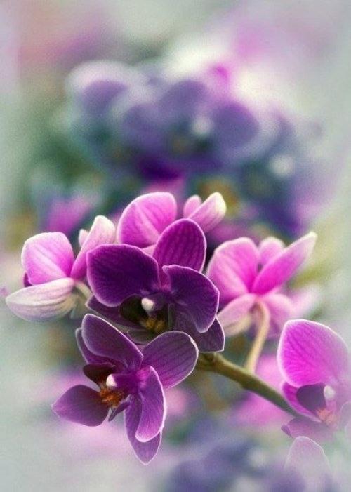 Как принять себя такой, какая есть. 01