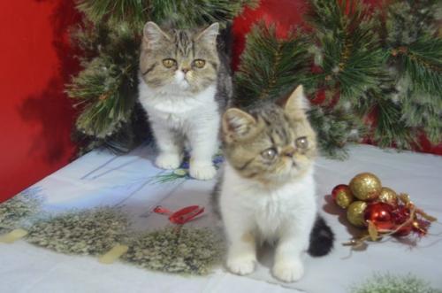 Оказывается 20 февраля -. 04